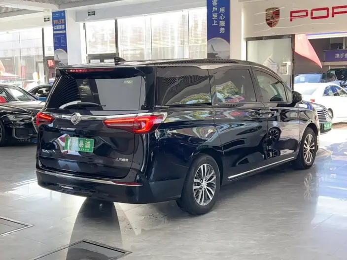 Buick GL8 2023 Model ES Luzun 2.0T Exclusive Model – фото 7