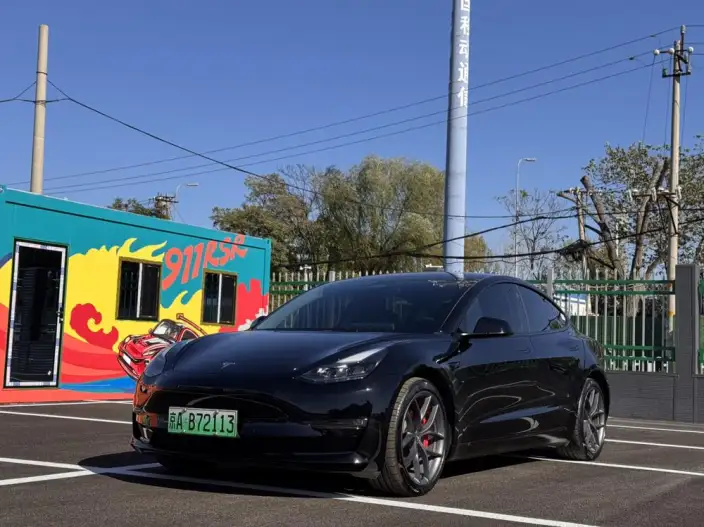Model 3 2022 Model Performance High performance All-wheel drive version – фото 1