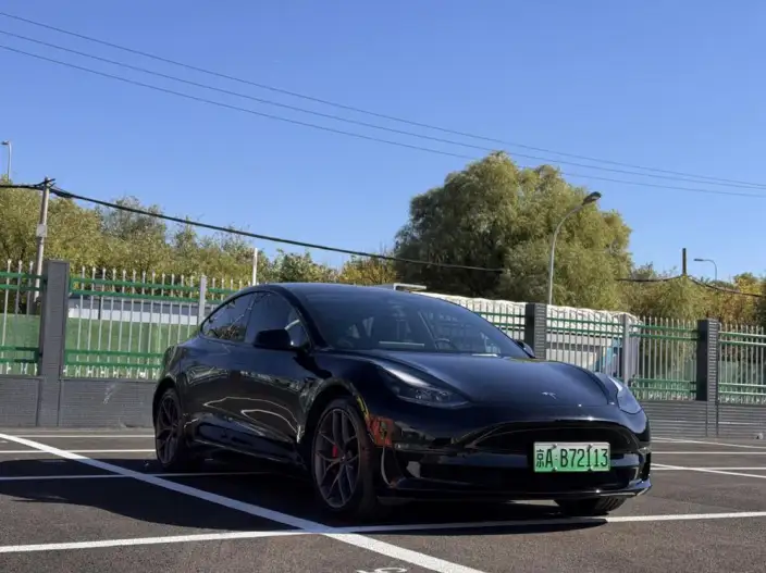 Model 3 2022 Model Performance High performance All-wheel drive version – фото 3
