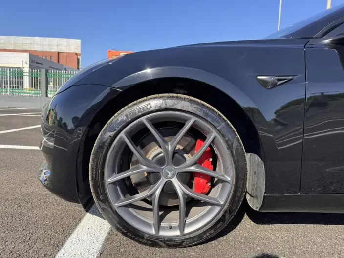 Model 3 2022 Model Performance High performance All-wheel drive version – фото 4
