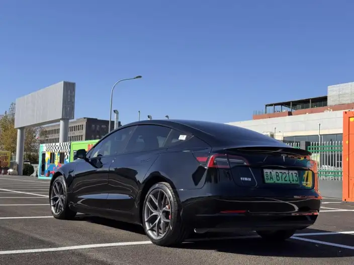 Model 3 2022 Model Performance High performance All-wheel drive version – фото 5