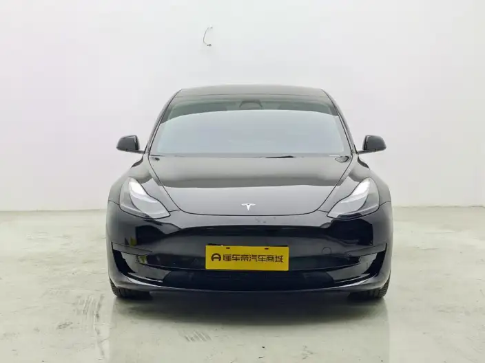 Model 3 2022 Model Rear-wheel drive version – фото 2