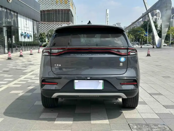 BYD Tang DM 2023 Model DM-i Champion Edition 112KM Exclusive Model – фото 4