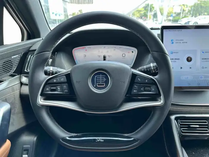 BYD Tang DM 2023 Model DM-i Champion Edition 112KM Exclusive Model – фото 7