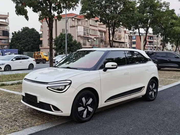 Dongfeng Nano 01 2024 Model 430Plus
