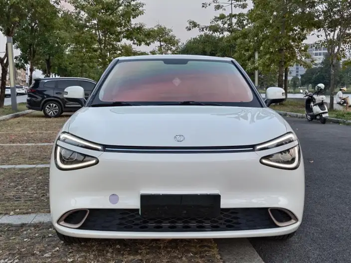 Dongfeng Nano 01 2024 Model 430Plus