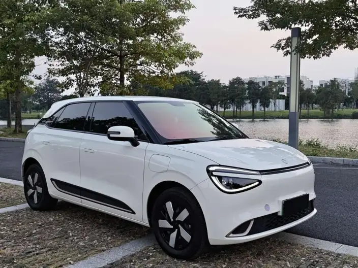 Dongfeng Nano 01 2024 Model 430Plus