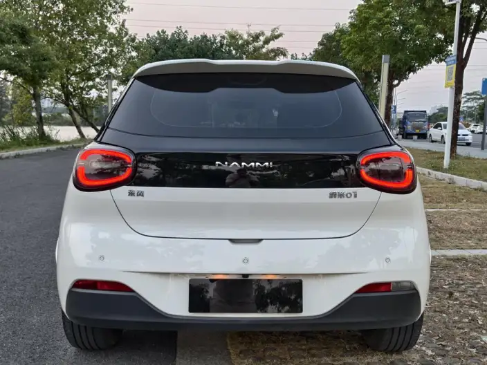 Dongfeng Nano 01 2024 Model 430Plus – фото 6