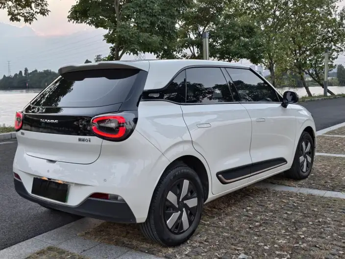 Dongfeng Nano 01 2024 Model 430Plus – фото 7