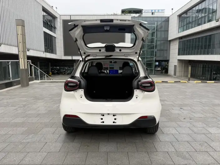 Dongfeng Nano 01 2024 Model 330Air – фото 5