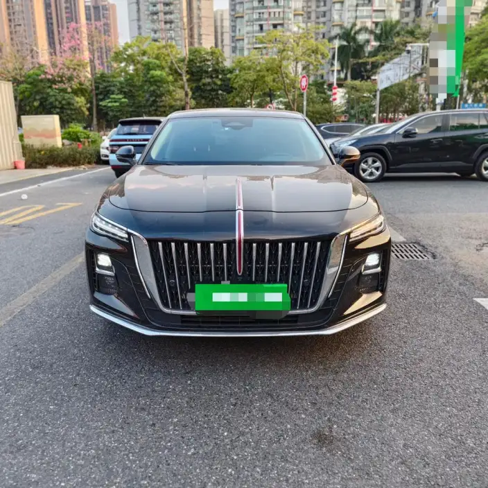 Hongqi H5 2025 Model 2.0T Automatic Flag Enjoy Edition – фото 2