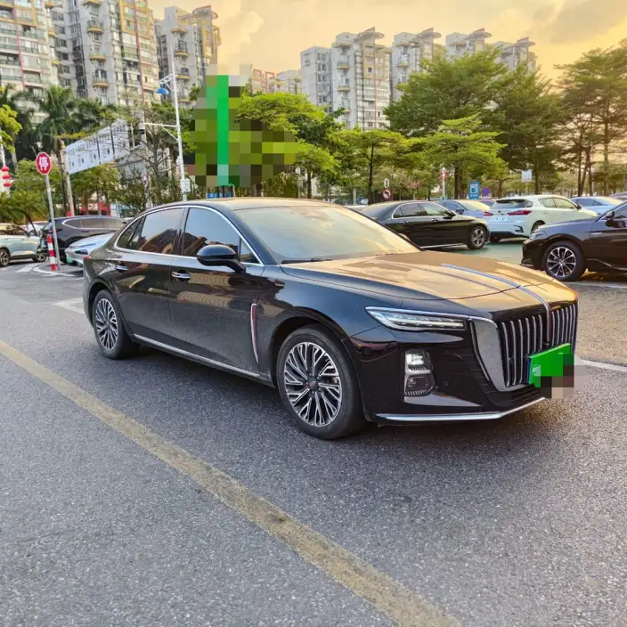 Hongqi H5 2025 Model 2.0T Automatic Flag Enjoy Edition – фото 3