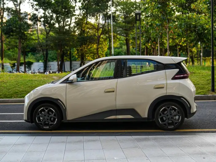 BYD Seagull 2025 Model 305KM Free Edition – фото 3