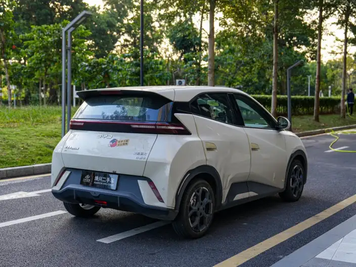 BYD Seagull 2025 Model 305KM Free Edition – фото 5