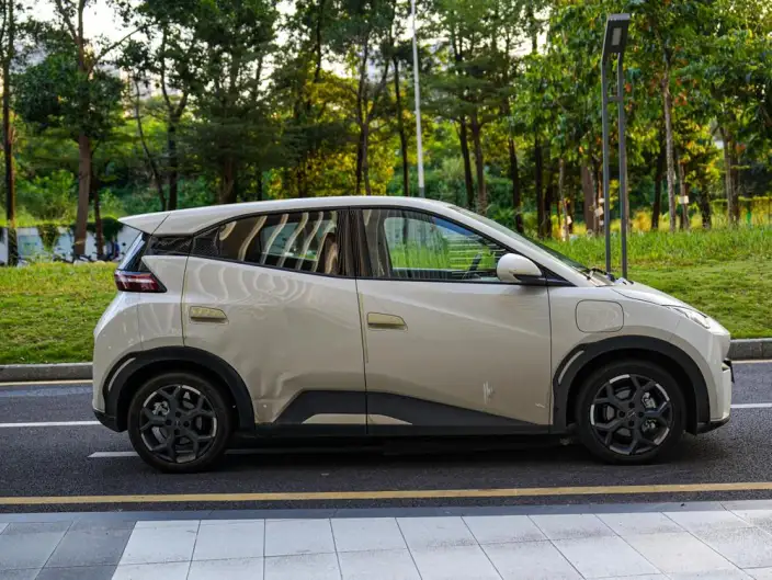 BYD Seagull 2025 Model 305KM Free Edition – фото 6