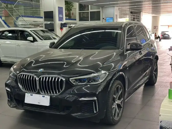 BMW X5 2022 Model Facelift xDrive 40Li M Sports Set – фото 1
