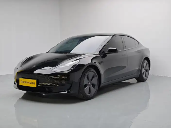 Model 3 2022 Model Rear-wheel drive version – фото 1