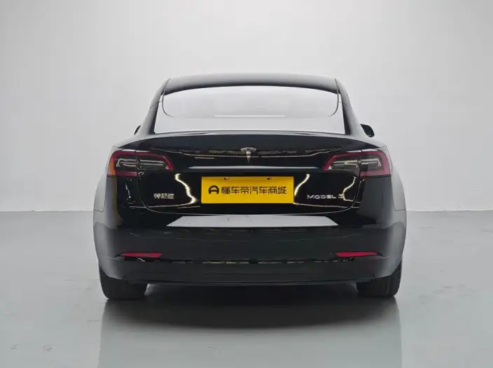 Model 3 2022 Model Rear-wheel drive version – фото 6