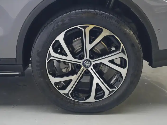 BYD Tang DM 2025 Model Smart Driving Edition DM-i 115KM Zunrong Model – фото 9