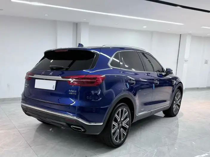 Hongqi HS5 2022 Model 2.0T Flag Lead 4WD Edition – фото 6