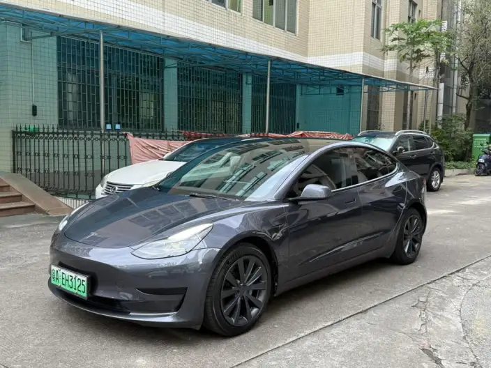 Model 3 2021 Model Standard Battery Life Rear Drive L Class Edition 3D6