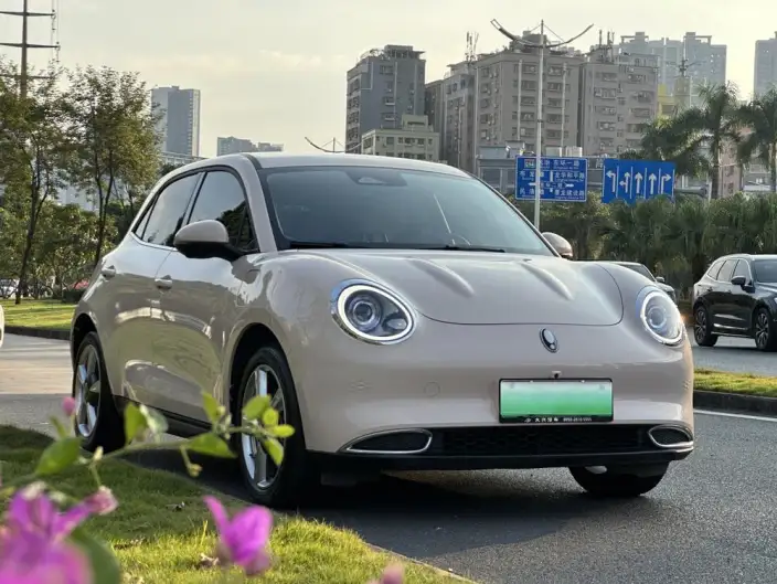 ORA Good Cat 2023 Model 401km Standard Battery Life Luxury Model Ternary lithium – фото 3