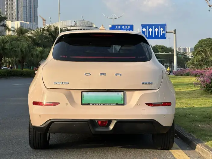 ORA Good Cat 2023 Model 401km Standard Battery Life Luxury Model Ternary lithium – фото 5