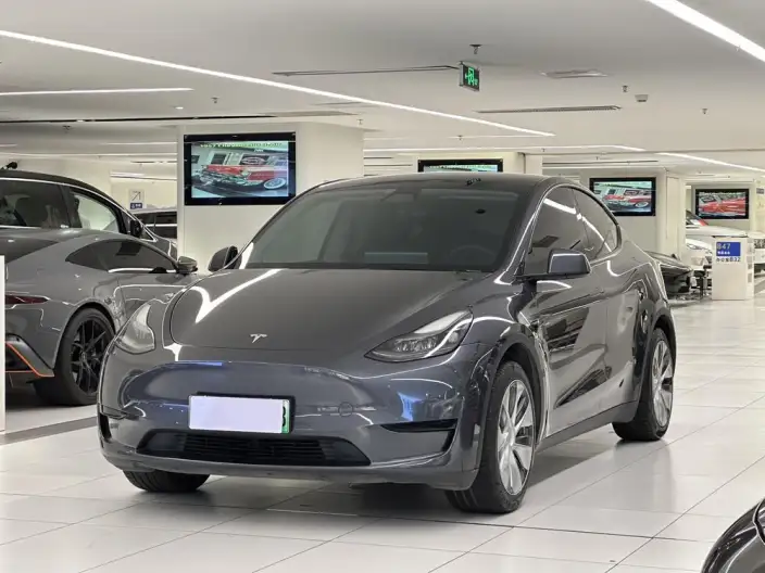 Model Y 2022 Model Facelift Rear-wheel drive version – фото 1