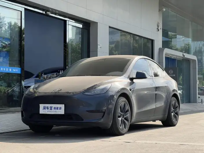 Model Y 2024 Model Rear-wheel drive version – фото 1