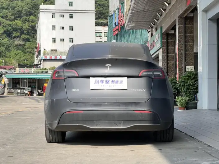 Model Y 2024 Model Rear-wheel drive version – фото 5