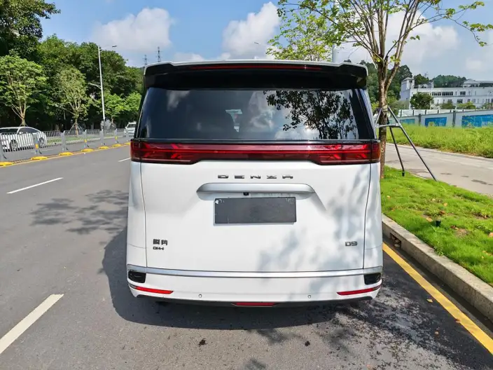 DENZA D9 DM 2022 Model 1040 Noble Model – фото 4