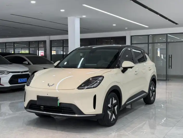 Wuling BingoS 2025 Model 430km Flagship Model