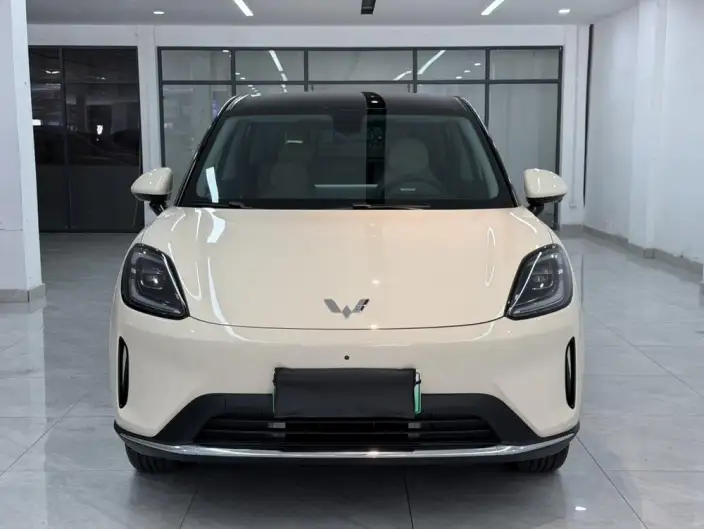 Wuling BingoS 2025 Model 430km Flagship Model