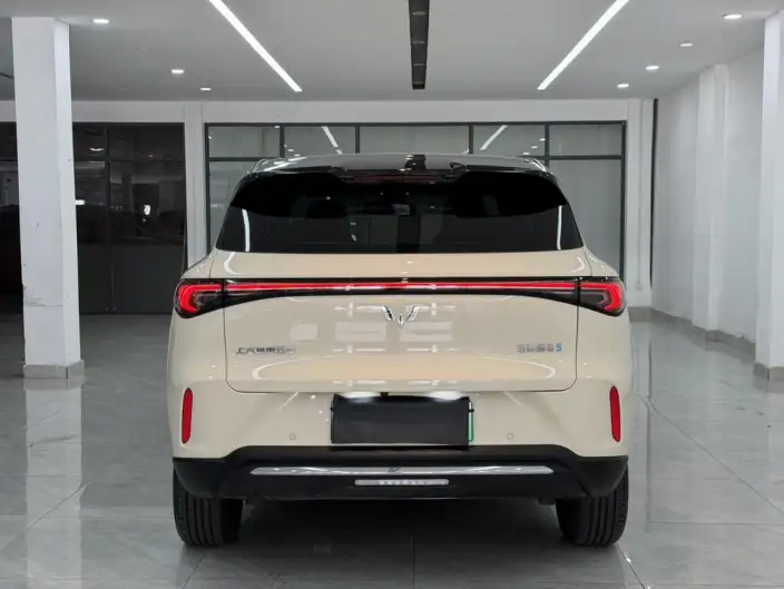 Wuling BingoS 2025 Model 430km Flagship Model – фото 6