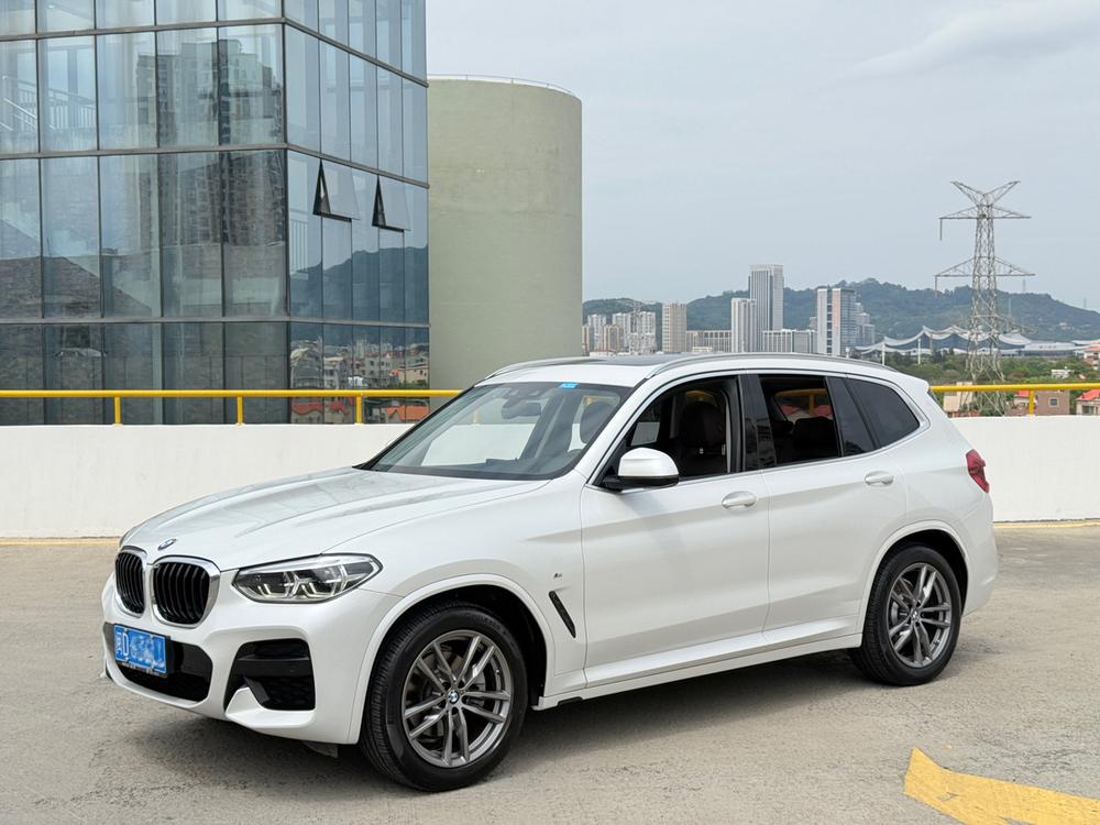BMW X3 2021 xDrive25i Luxury Package – фото 1