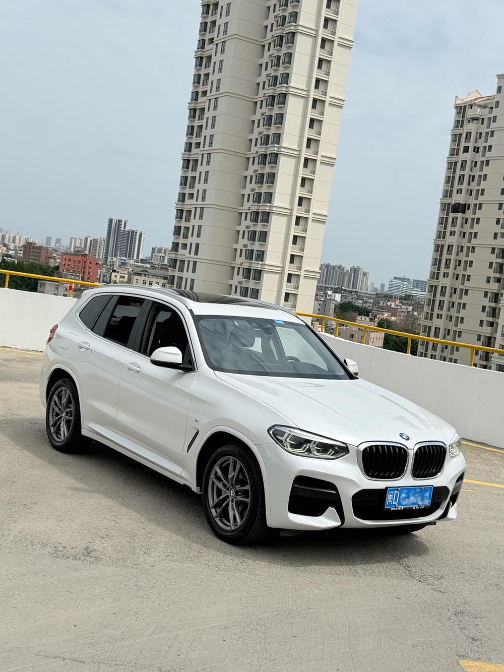 BMW X3 2021 xDrive25i Luxury Package – фото 3