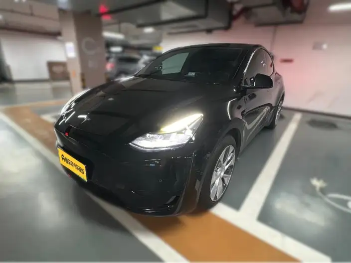 Model Y 2022 Model Rear-wheel drive version – фото 1