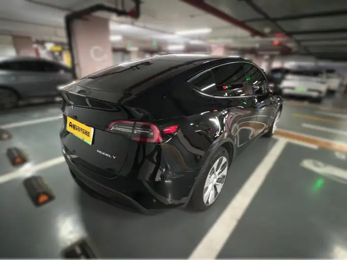 Model Y 2022 Model Rear-wheel drive version – фото 2