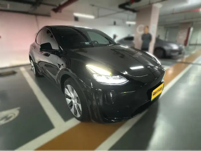 Model Y 2022 Model Rear-wheel drive version – фото 3