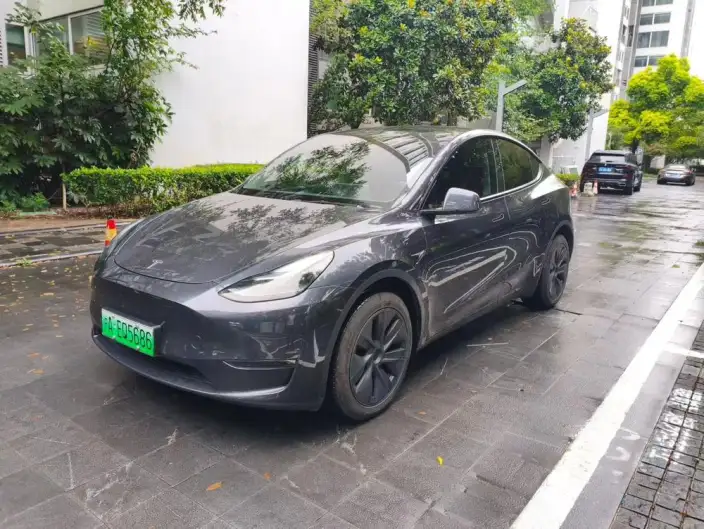 Model Y 2024 Model Long Battery Life Pro All-wheel drive version – фото 1