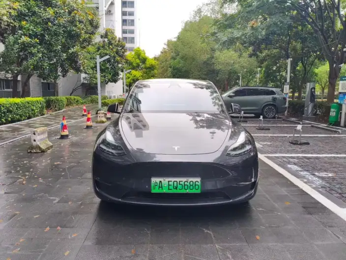 Model Y 2024 Model Long Battery Life Pro All-wheel drive version – фото 2