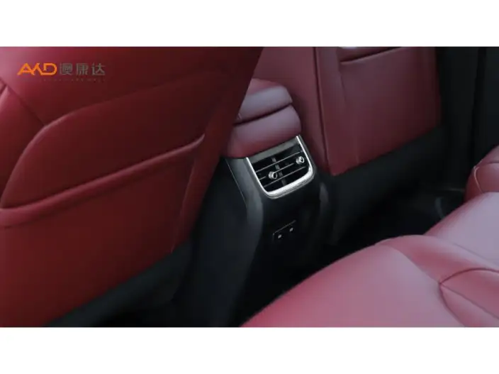 Tank 300 2025 Model 2.0T Gasoline Edition Challenger – фото 5