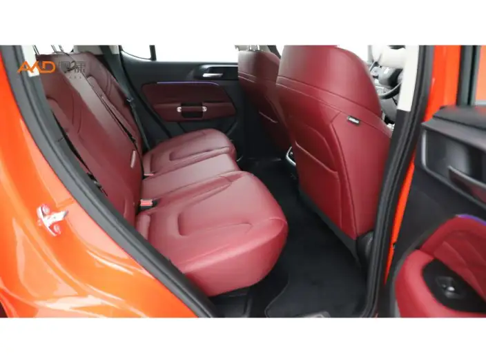 Tank 300 2025 Model 2.0T Gasoline Edition Challenger – фото 8