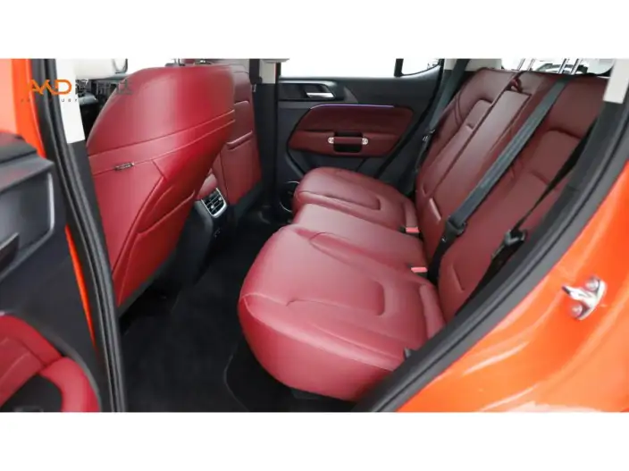 Tank 300 2025 Model 2.0T Gasoline Edition Challenger – фото 10