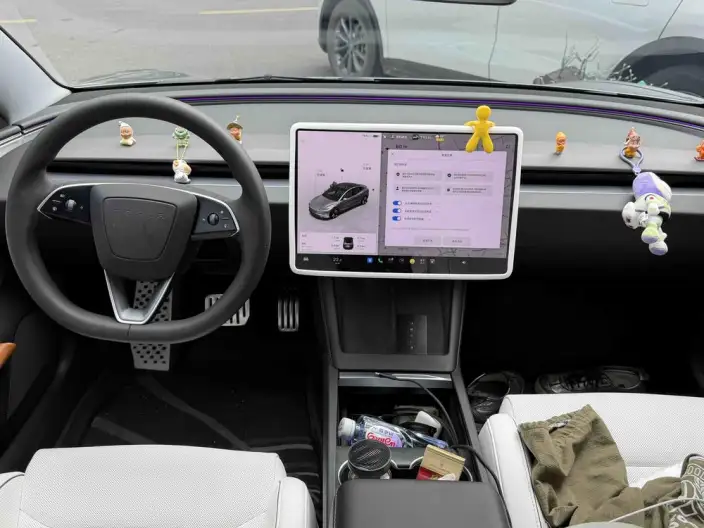 Model 3 2025 Model High performance All-wheel drive version – фото 7