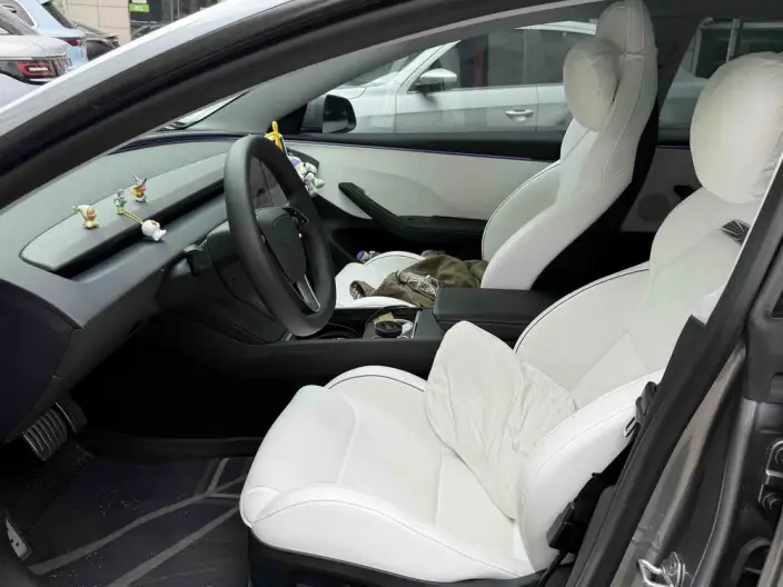 Model 3 2025 Model High performance All-wheel drive version – фото 9