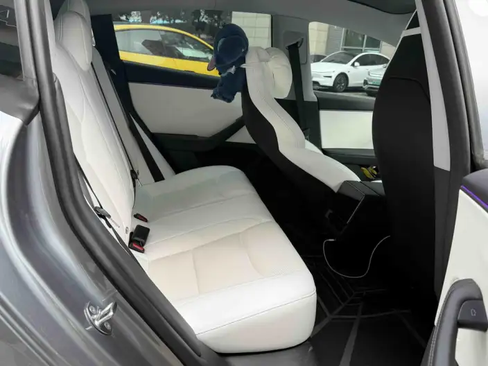 Model 3 2025 Model High performance All-wheel drive version – фото 10