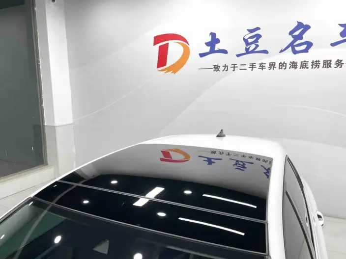 Volkswagen Golf 2023 Model 280TSI DSG Pro 20th Anniversary Memorial – фото 8