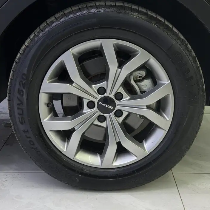 Haval H6 2021 Model Guo Trendy Edition 1.5T Automatic Champion Edition – фото 7