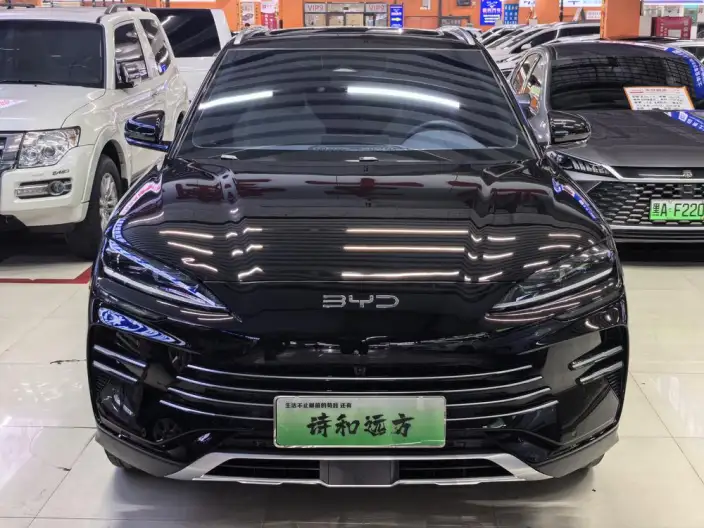 BYD Song PLUS DM 2025 Model DM-i 112KM Zunrong Model – фото 2